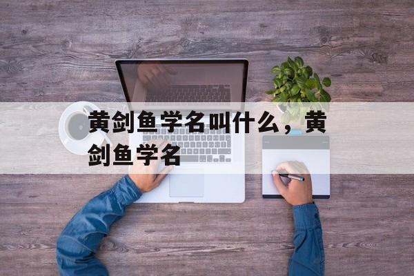 黄剑鱼学名叫什么，黄剑鱼学名-第1张图片-