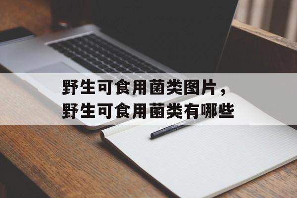 野生可食用菌类图片，野生可食用菌类有哪些-第1张图片-