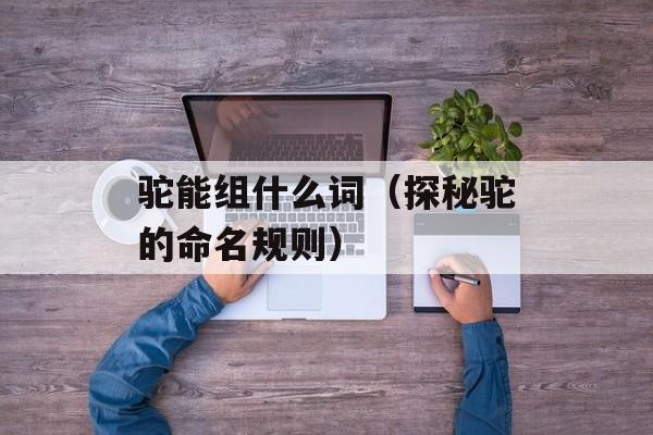 驼能组什么词（探秘驼的命名规则）-第1张图片-