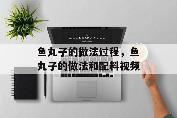 鱼丸子的做法过程，鱼丸子的做法和配料视频-第1张图片-