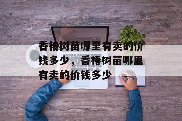 香椿树苗哪里有卖的价钱多少，香椿树苗哪里有卖的价钱多少-第1张图片-