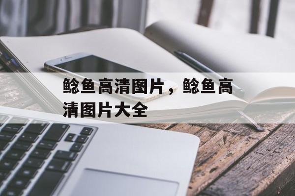 鲶鱼高清图片，鲶鱼高清图片大全-第1张图片-