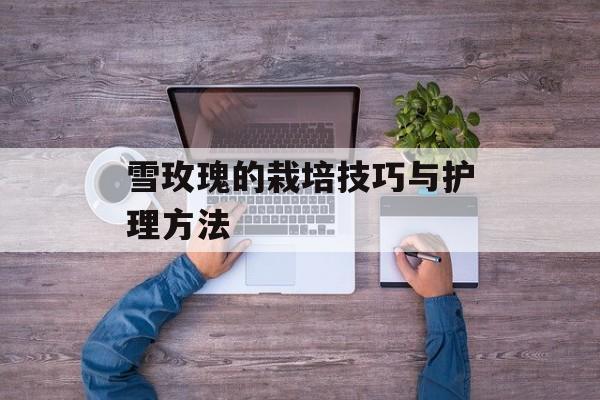 雪玫瑰的栽培技巧与护理方法-第1张图片-