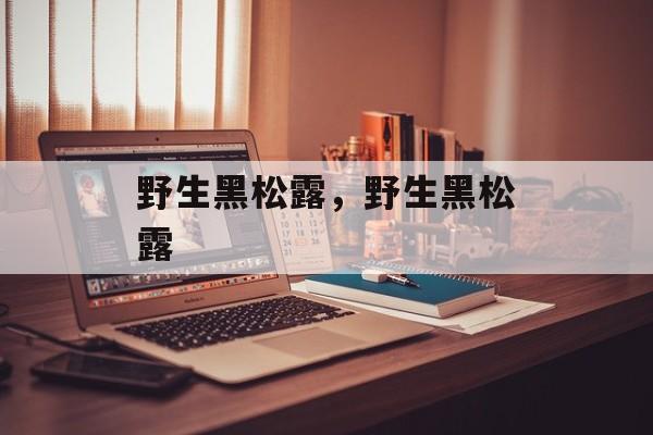 野生黑松露，野生黑松露-第1张图片-