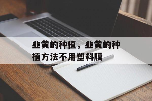 韭黄的种植，韭黄的种植方法不用塑料膜-第1张图片-