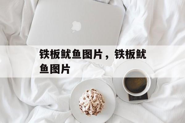 铁板鱿鱼图片，铁板鱿鱼图片-第1张图片-