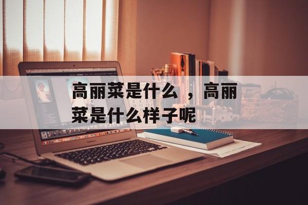 高丽菜是什么 ，高丽菜是什么样子呢-第1张图片-
