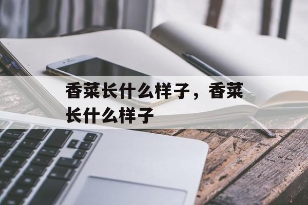 香菜长什么样子，香菜长什么样子-第1张图片-