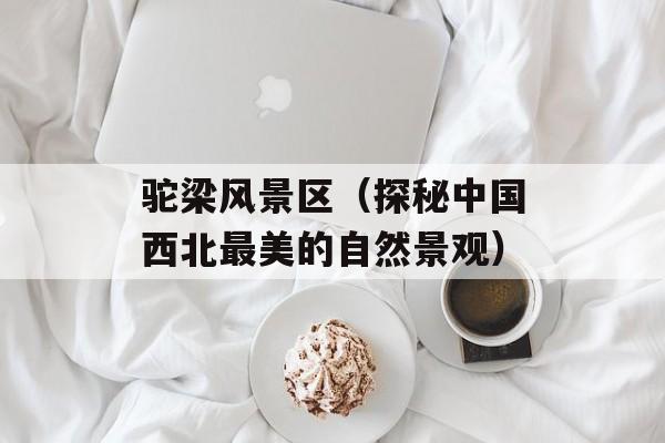 驼梁风景区（探秘中国西北最美的自然景观）-第1张图片-