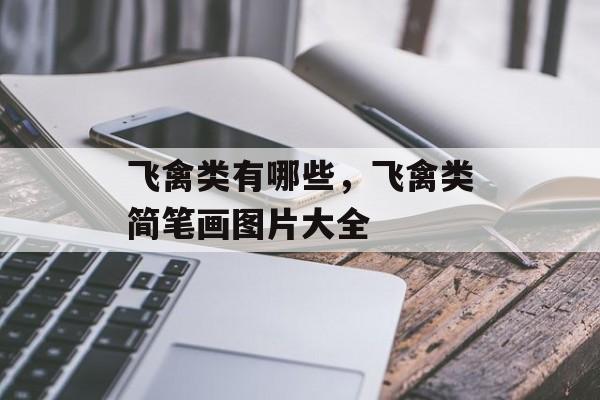 飞禽类有哪些，飞禽类简笔画图片大全-第1张图片-