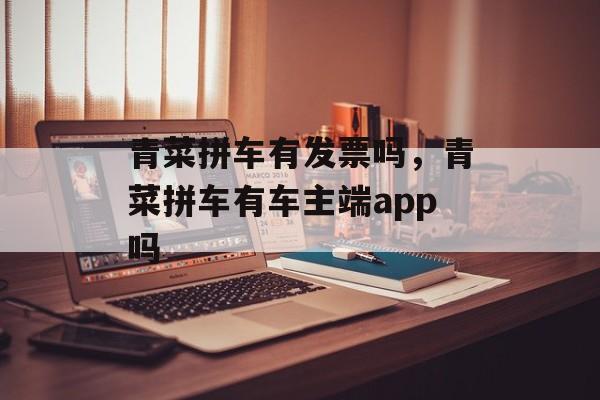青菜拼车有发票吗，青菜拼车有车主端app吗-第1张图片-