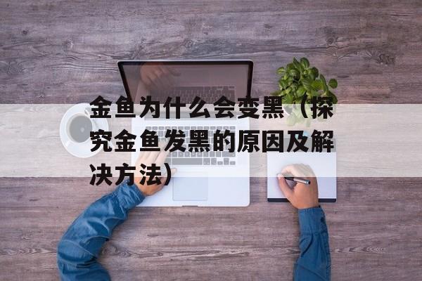 金鱼为什么会变黑（探究金鱼发黑的原因及解决方法）-第1张图片-