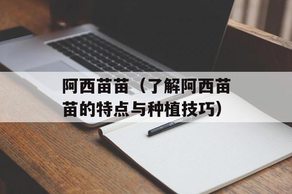 阿西苗苗（了解阿西苗苗的特点与种植技巧）-第1张图片-