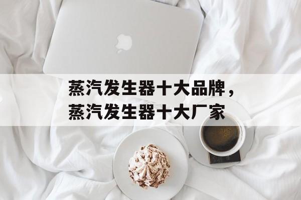 蒸汽发生器十大品牌，蒸汽发生器十大厂家-第1张图片-