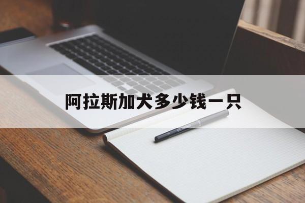 阿拉斯加犬多少钱一只-第1张图片-