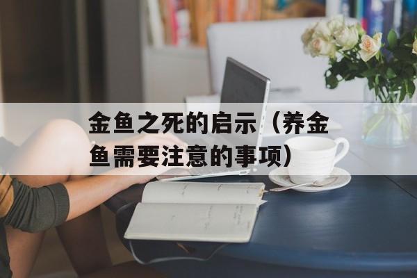 金鱼之死的启示（养金鱼需要注意的事项）-第1张图片-