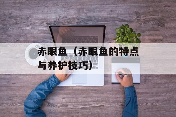 赤眼鱼（赤眼鱼的特点与养护技巧）-第1张图片-