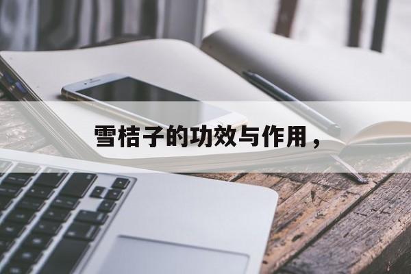 雪桔子的功效与作用，-第1张图片-