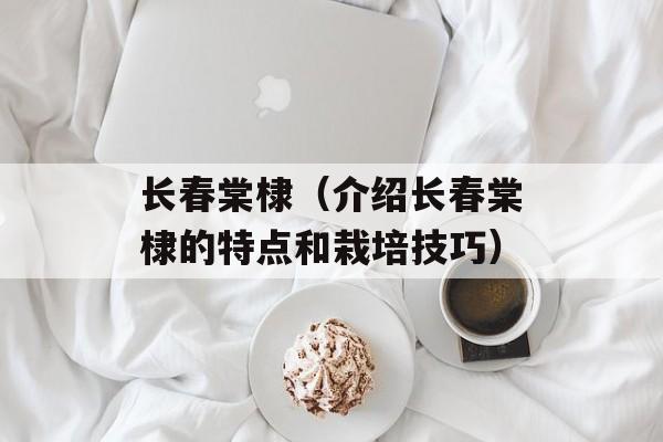 长春棠棣（介绍长春棠棣的特点和栽培技巧）-第1张图片-