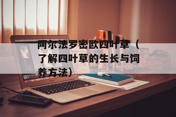 阿尔法罗密欧四叶草（了解四叶草的生长与饲养方法）-第1张图片-
