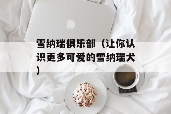 雪纳瑞俱乐部（让你认识更多可爱的雪纳瑞犬）-第1张图片-