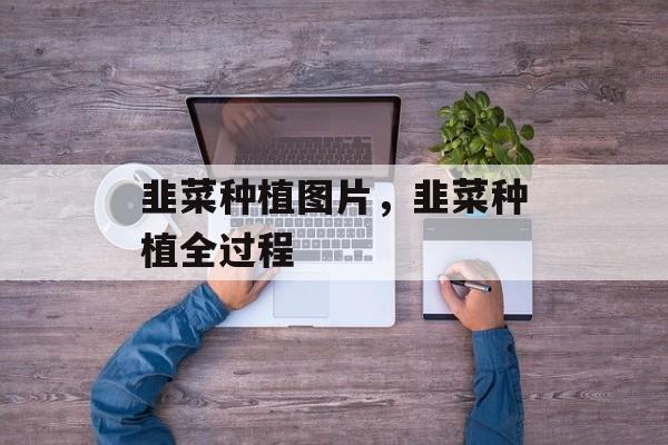 韭菜种植图片，韭菜种植全过程-第1张图片-