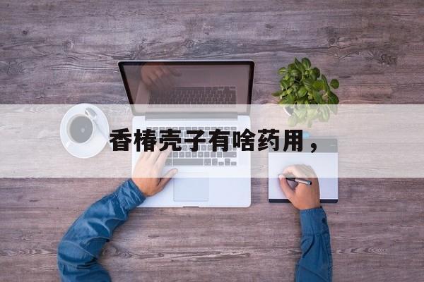 香椿壳子有啥药用，-第1张图片-