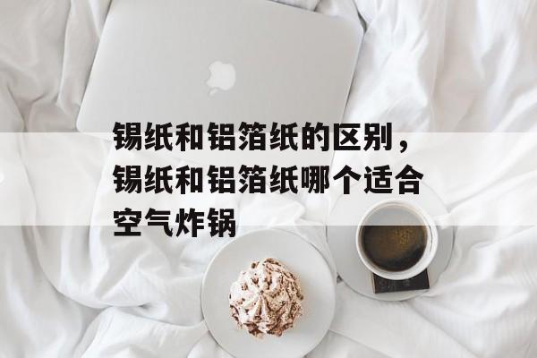 锡纸和铝箔纸的区别，锡纸和铝箔纸哪个适合空气炸锅-第1张图片-
