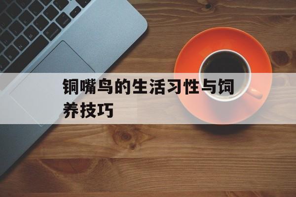 铜嘴鸟的生活习性与饲养技巧-第1张图片-