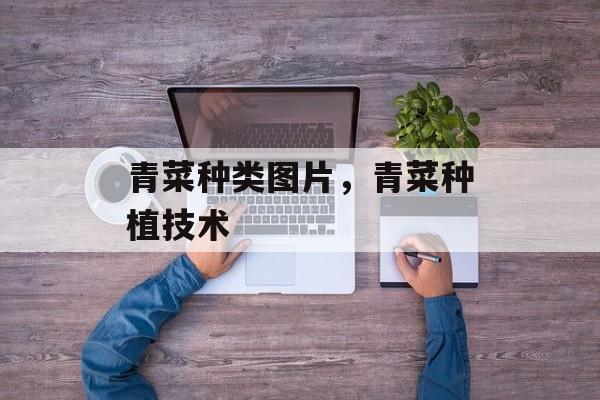 青菜种类图片，青菜种植技术-第1张图片-