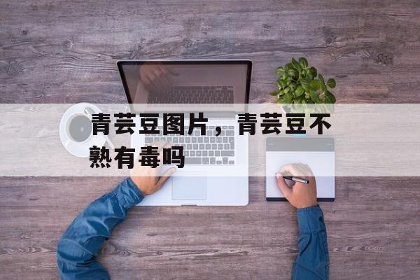 青芸豆图片，青芸豆不熟有毒吗-第1张图片-