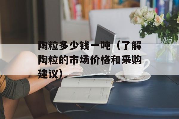 陶粒多少钱一吨（了解陶粒的市场价格和采购建议）-第1张图片-