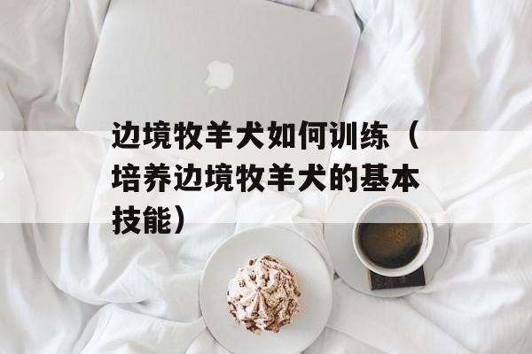 边境牧羊犬如何训练（培养边境牧羊犬的基本技能）-第1张图片-