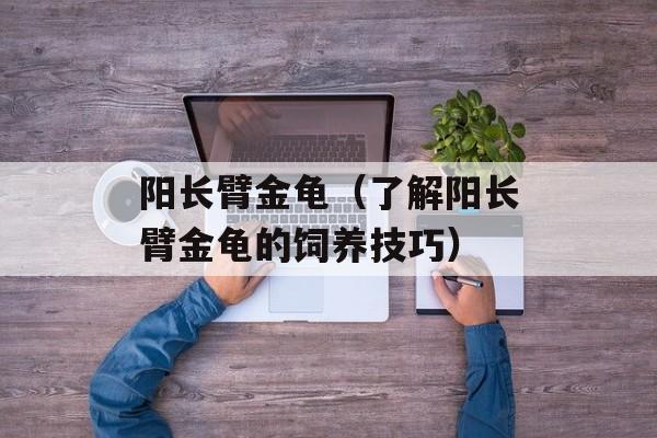 阳长臂金龟（了解阳长臂金龟的饲养技巧）-第1张图片-