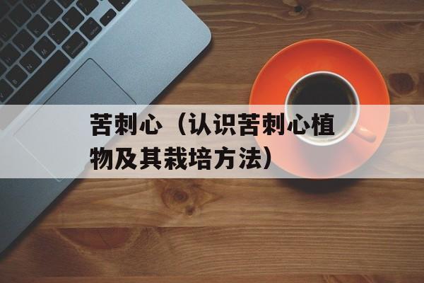 苦刺心（认识苦刺心植物及其栽培方法）-第1张图片-