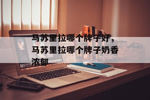 马苏里拉哪个牌子好，马苏里拉哪个牌子奶香浓郁-第1张图片-