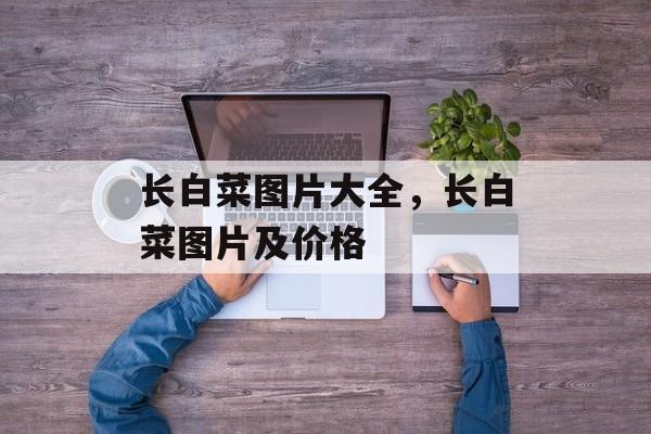 长白菜图片大全，长白菜图片及价格-第1张图片-