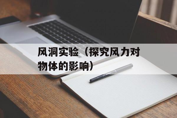 风洞实验（探究风力对物体的影响）-第1张图片-