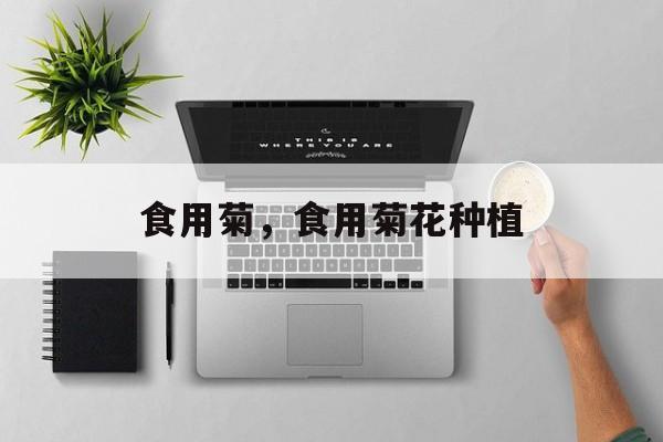 食用菊，食用菊花种植-第1张图片-