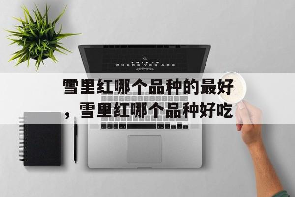 雪里红哪个品种的最好，雪里红哪个品种好吃-第1张图片-