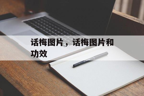 话梅图片，话梅图片和功效-第1张图片-