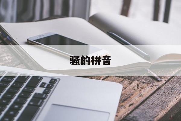 骚的拼音-第1张图片-