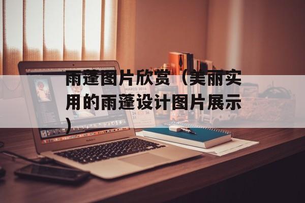 雨蓬图片欣赏（美丽实用的雨蓬设计图片展示）-第1张图片-