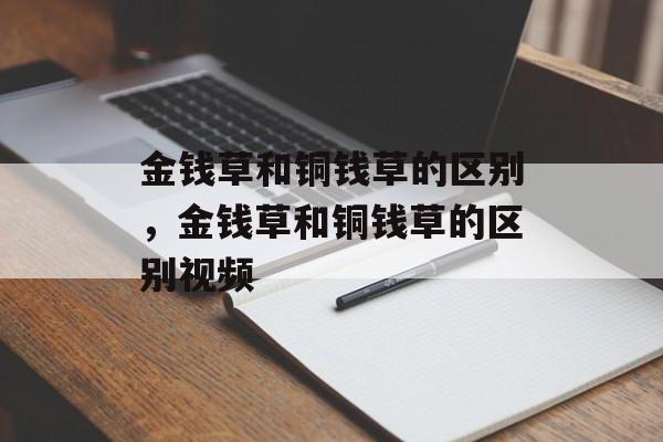 金钱草和铜钱草的区别，金钱草和铜钱草的区别视频-第1张图片-