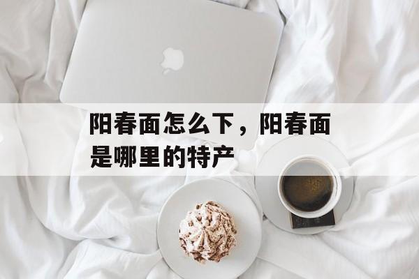 阳春面怎么下，阳春面是哪里的特产-第1张图片-
